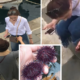 Chinese Tourists Caught Stealing Marine Animals From A Sleepy Fishing Village - World Of Buzz 7