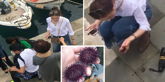 Chinese Tourists Caught Stealing Marine Animals From A Sleepy Fishing Village - World Of Buzz 7