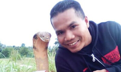 Malaysian Man Falsely Accused Of Marrying Pet Snake By International News Portals - World Of Buzz 12