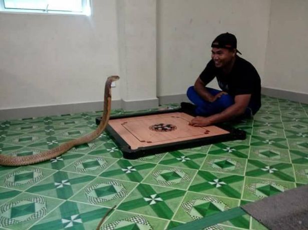 Malaysian Man Falsely Accused Of Marrying Pet Snake By International News Portals - World Of Buzz 4