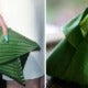 Nasi Lemak Becomes A Handbag In Hermes'S Spring Collection - World Of Buzz