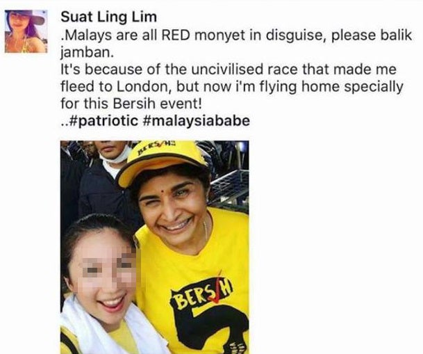 The Shocking Truth Behind The Chinese Girl Who Called Malays 'RED Monyet' - World Of Buzz 15