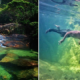 Bangang River, Clearest River Of Malaysia?! - World Of Buzz 9