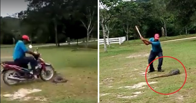 Netizens Enraged By Malaysian Man Mercilessly Running Over And Torturing Monitor Lizard - World Of Buzz