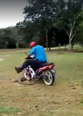 Netizens Enraged Over Video Of A Man Purposely Run Over Monitor Lizard With His Motorcycle - World Of Buzz 1