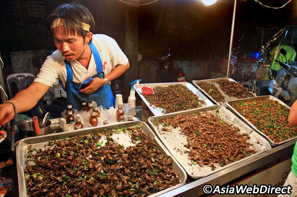 Thai Woman Cautions Public For Eating Fried Insects That May Contain Parasite - World Of Buzz 1