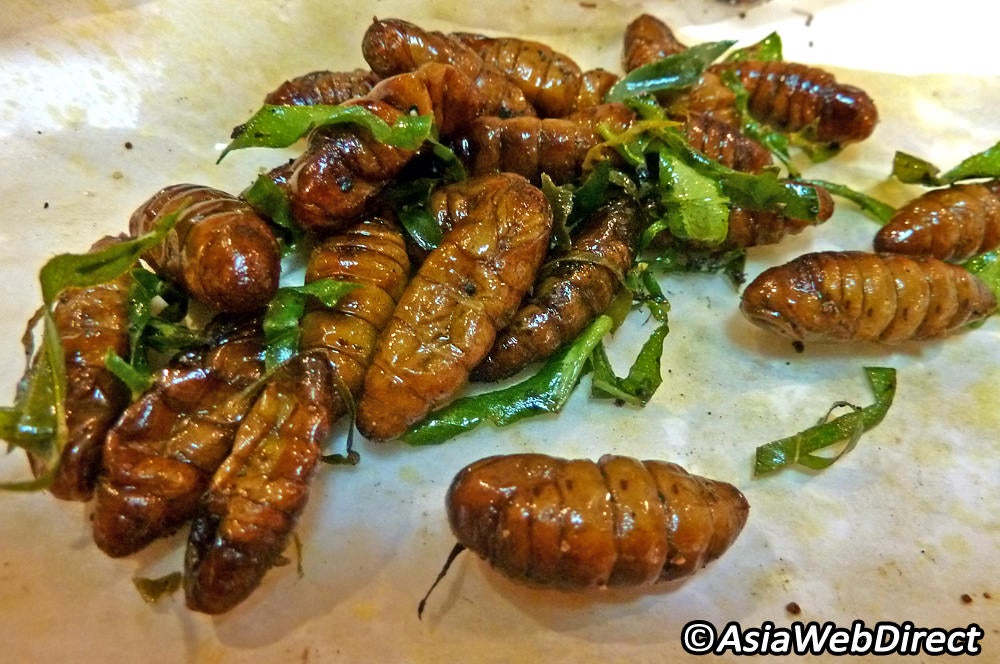 Thai Woman Cautions Public For Eating Fried Insects That May Contain Parasite - World Of Buzz 2