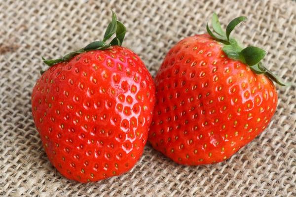 This Japanese Farmer Is Growing The Sweetest Strawberries In Cameron Highlands - World Of Buzz 2