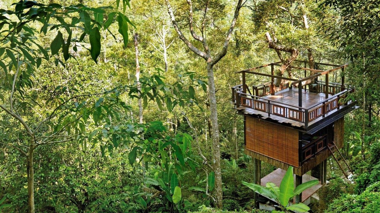 7 Gorgeous Nature Retreats In Malaysia For A Unique Getaway - World Of Buzz 39