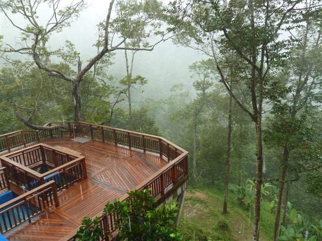 7 Gorgeous Nature Retreats In Malaysia For A Unique Getaway - World Of Buzz 41