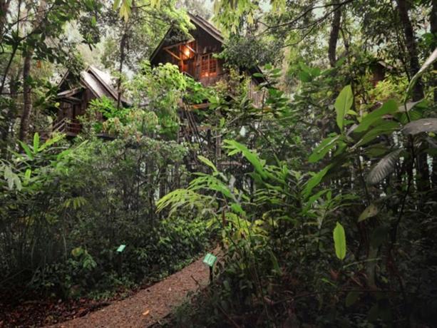 7 Gorgeous Nature Retreats In Malaysia For A Unique Getaway - World Of Buzz 51