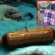 Abusive Husband Accused Wife Being Infertile, Forced A 40-Cm Rolling Pin Up Wife'S Anus - World Of Buzz 2