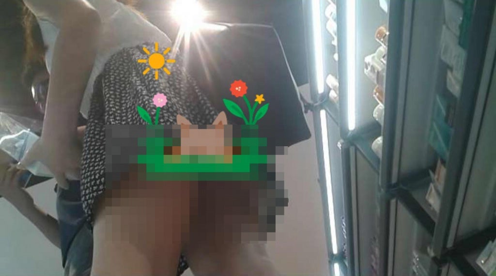 Brave Malaysian Lady Snatched Pervert's Phone And Discovered Upskirt Videos Of Different Women In It - World Of Buzz 4