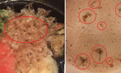Look Before You Eat! Malaysia'S Dirty Eateries Have Been Going Viral In Social Media - World Of Buzz 5