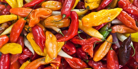 Love Spicy Food? You Would Love To Read This. - World Of Buzz 4