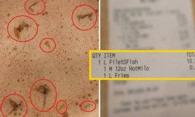 Malaysian Lady Found Several Baby Cockroaches In Her Hot Milo From Mcdonald'S - World Of Buzz 4
