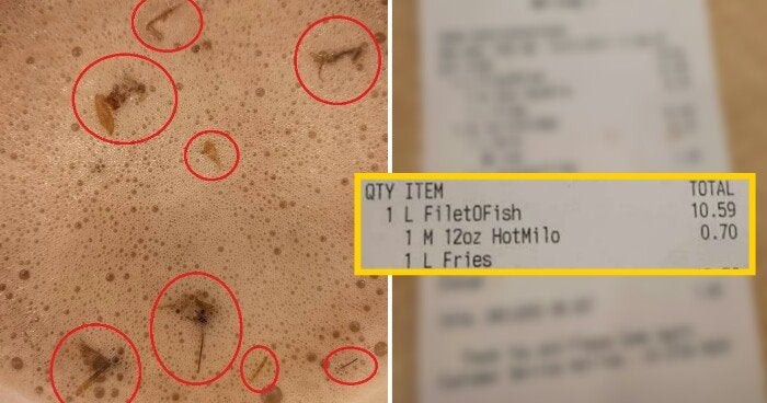Malaysian Lady Found Several Baby Cockroaches In Her Hot Milo From Mcdonald'S - World Of Buzz 4