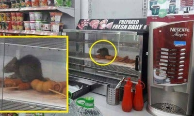 Malaysians Infuriated With 7-Eleven After Pictures Of Rats Sitting In Food Warmer Went Viral - World Of Buzz