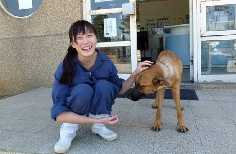 Taiwan Passes Law Banning Animal Abandonment After Vet Euthanized Herself - World Of Buzz 2