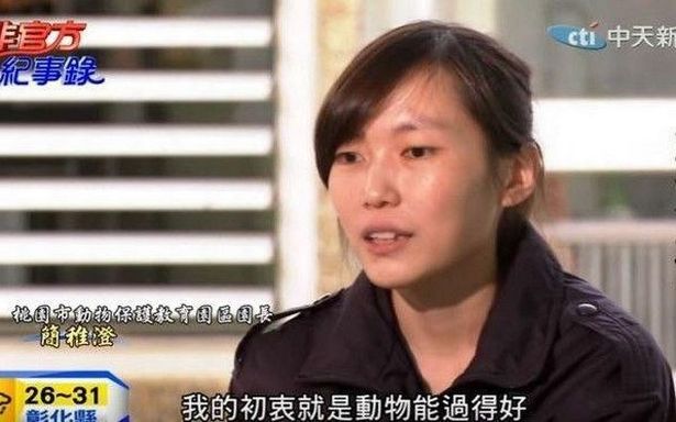 Taiwan Passes Law Banning Animal Abandonment After Vet Euthanized Herself - World Of Buzz
