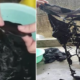 Taiwanese Woman Discovers Her New Pants Shockingly Dissolves After Washing - World Of Buzz 4