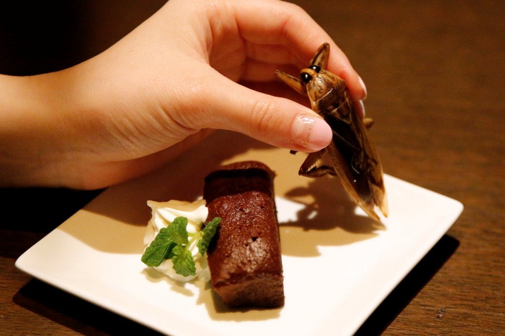 Tokyo Bar Offers Crunchy Insects In Cookies, Cream, And Cocktails - World Of Buzz 2