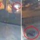 Viral Footage Shows Motorcyclist Flung Into House After Fatally Hit By A Car At Cross Junction - World Of Buzz
