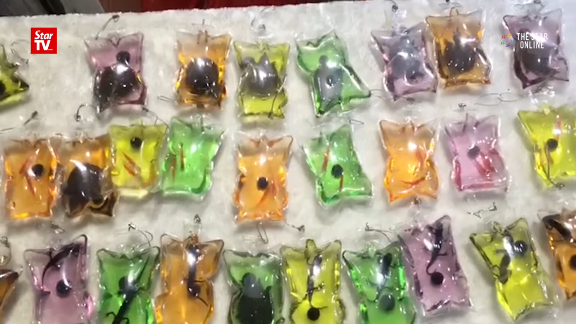 Live Animals Key-Chain Sold In China Garnered Severe Critism - World Of Buzz