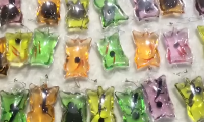Live Animals Keychains Sold In China Critically Condemned - World Of Buzz