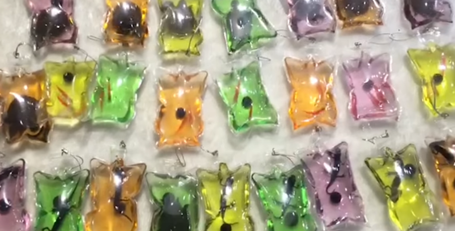 Live Animals Keychains Sold In China Critically Condemned - World Of Buzz