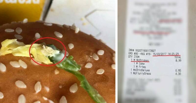 Maggots Found In Mcchicken Leaves Malaysians Aghast At Mcdonald's Lack Of Hygiene - World Of Buzz