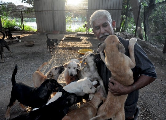 Malaysian Mufti Explains that Muslims Should Help Animals in Need, Even Dogs - World Of Buzz 1