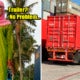 Malaysian Single Mother Breaks Stereotype And Drives Trailer For Rm7,000 Salary - World Of Buzz 1