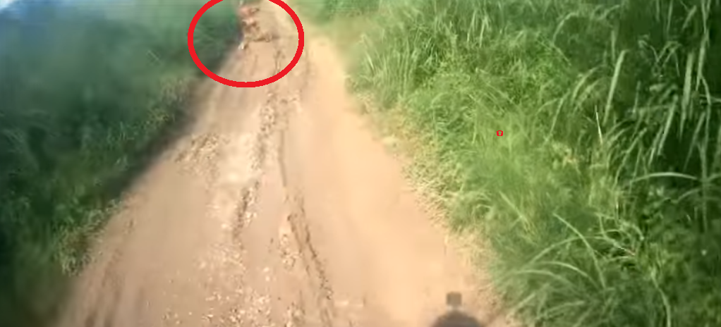 Mysterious Figure Spotted By Biker Spark Huge Debate. - World Of Buzz 2