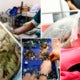 Surgeons Remove 951 Coins From Turtle'S Stomach, After Years Of Swallowing Coins Thrown In Pool - World Of Buzz