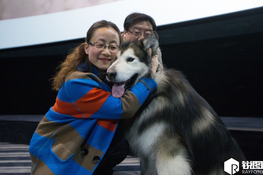 Chinese Owners Fulfilled Dog's Desire to Watch Movies in Cinemas Before He Goes Blind - World Of Buzz 4