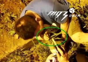 Drunk Chinese Man Tries to Sober Up by Pulling and Eating Grass from Roadside - World Of Buzz 2