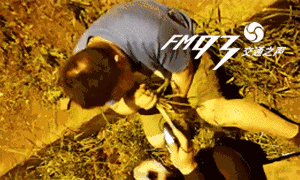 Drunk Chinese Man Tries to Sober Up by Pulling and Eating Grass from Roadside - World Of Buzz 3