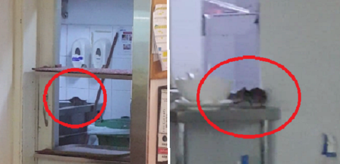 Several RATS Spotted Running Around Secret Recipe's Kitchen, Netizens - World Of Buzz 2
