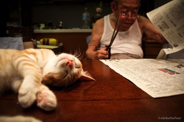 The Relationship Between This 94-Year-Old Man And His Cat Will Make You Smile - World Of Buzz 1