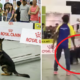 Trainer Kicking Dog At Obedience Test Upset Malaysians - World Of Buzz