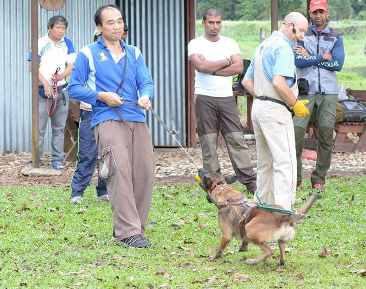 Trainer Kicks Dog At Obedience Test Upset Malaysians - World Of Buzz 3