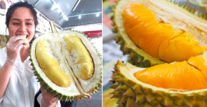 6 Easy Tips For Malaysians to Identify Musang King Durian - World Of Buzz