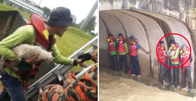 6 Indonesian Workers Stranded In Storm Tunnel Risk Their Lives To Save A Cat - World Of Buzz 1