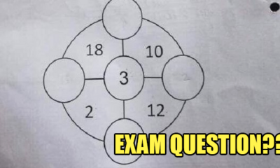 Difficult Primary One Question From Singapore Goes Viral Because Nobody Knows The Answer - World Of Buzz