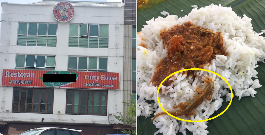 Facebook User Finds A Whole Lizard In Food At Puchong Banana Leaf Restaurant World Of Buzz 5 1