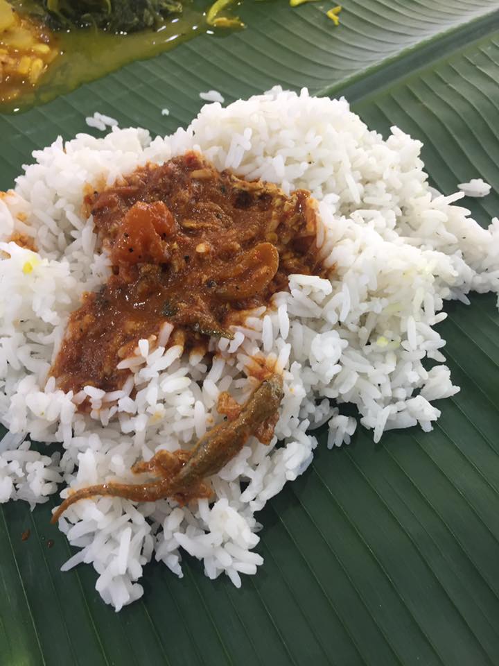 Facebook User Found a Whole Lizard in Food at Puchong Banana Leaf Restaurant - World Of Buzz
