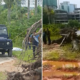 Naked Female Body And Multiple Condoms Found In Johor Bahru Construction Site - World Of Buzz