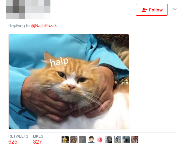 PM Najib Tweets Picture with Cat, Malaysian Netizens Go Crazy - World Of Buzz