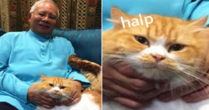 PM Najib Tweets Picture with His Cat, Malaysian Netizens Go Crazy - World Of Buzz